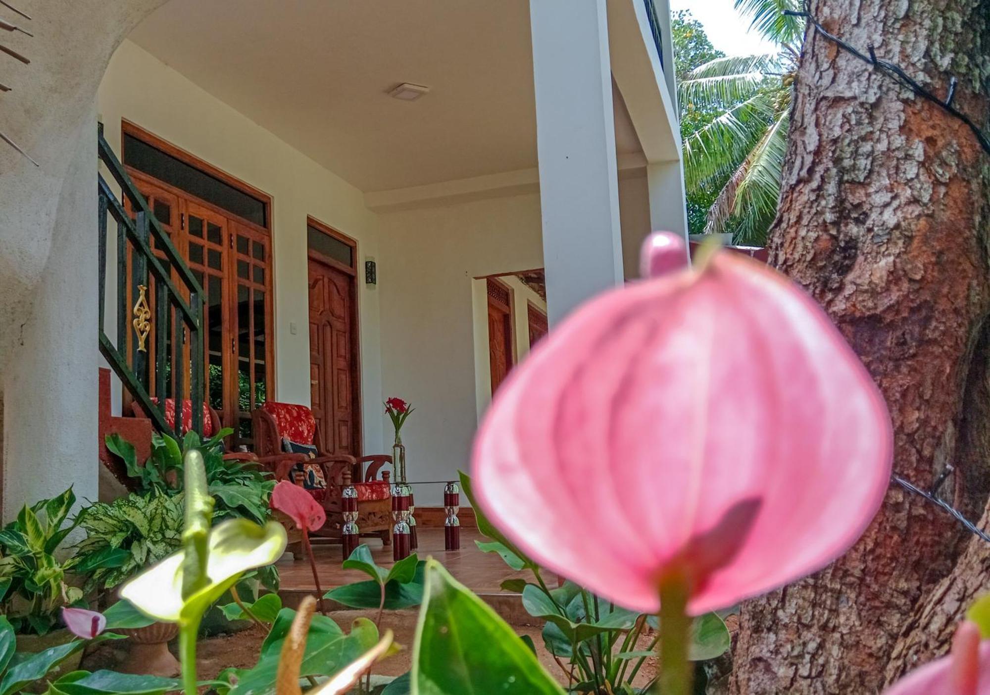 Gimhana Homestay Sigiriya Luaran gambar
