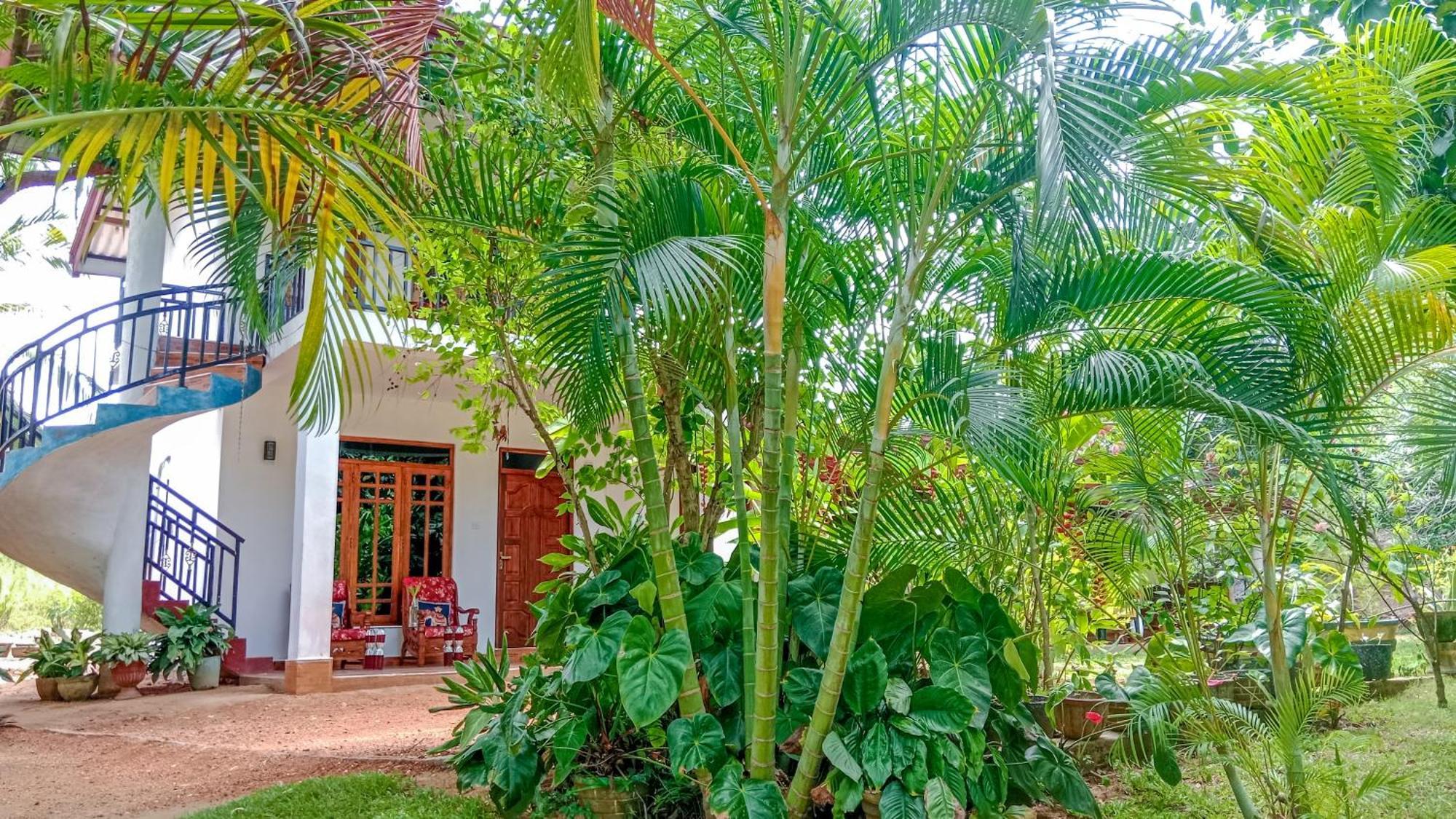 Gimhana Homestay Sigiriya Luaran gambar