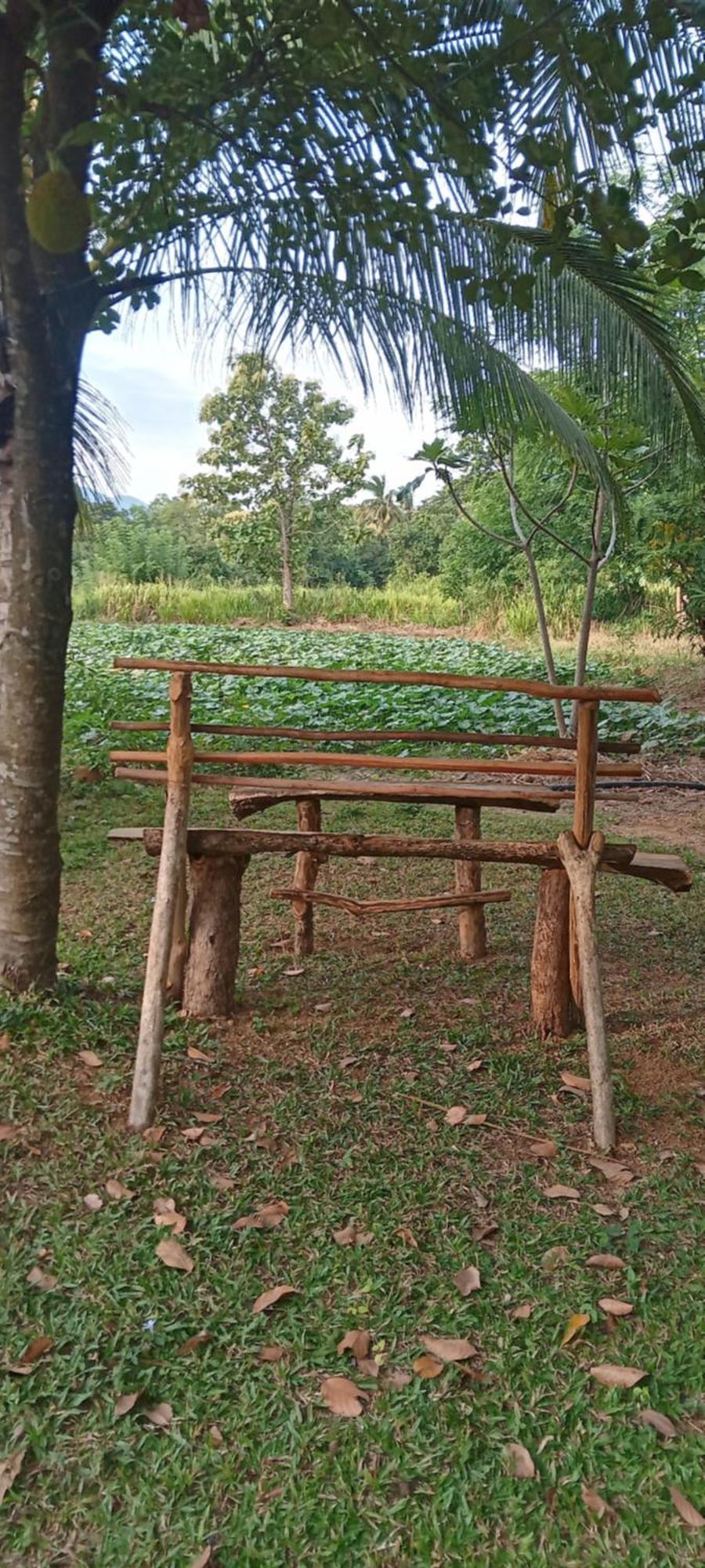 Gimhana Homestay Sigiriya Luaran gambar